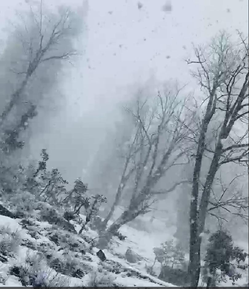 The White-Out at Rohtang
